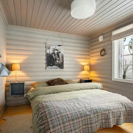 With Views And Activities In Sirdal Ferienhaus